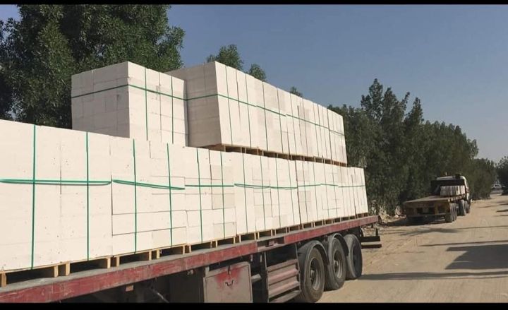 الطوب الابيض الخفافي 3