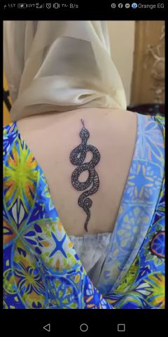 متوفر خادم محلل 