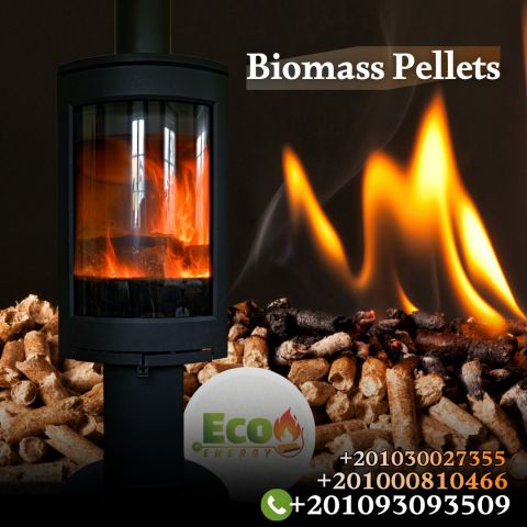 الوود بيليت