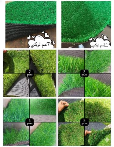 نجيلة صناعى 