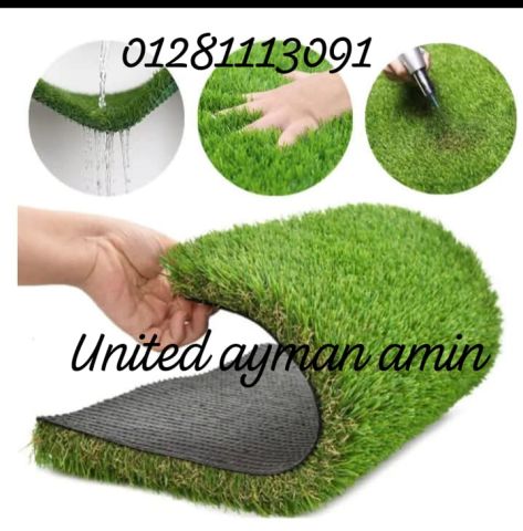 نجيلة صناعى  2