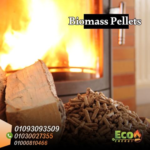 الوود بيليت 