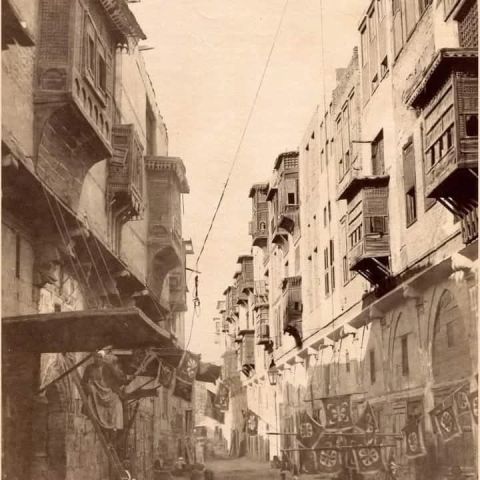 جلسات مساج بزيت الزيتون والأعشاب الطبيعية بأمان واحتراف 3