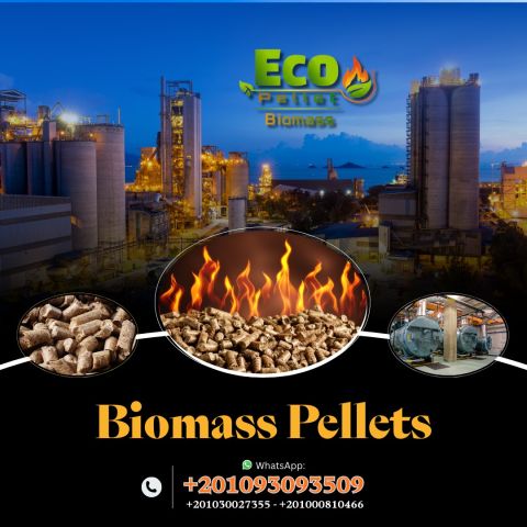 الوود بيليت