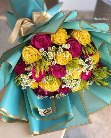 تعارف  ،ابحث عن انثى