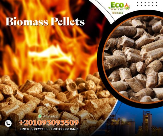 الوود بيليت 