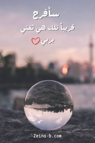 شاب يريد بنت الحلال 