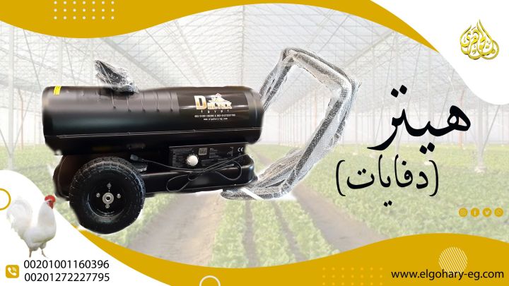 الهيتر الصيني