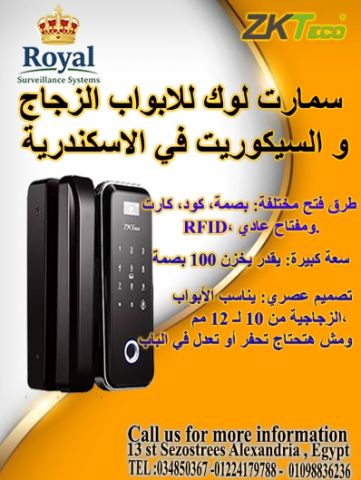  Smart Glass Door Lock