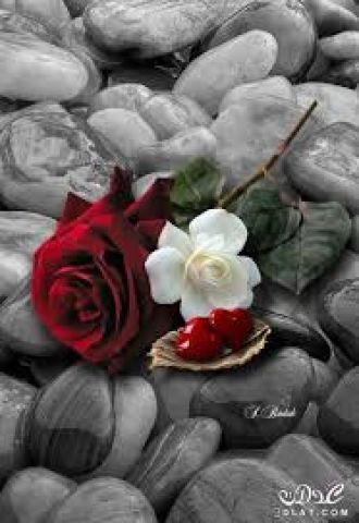 ابحث عن امرأة 