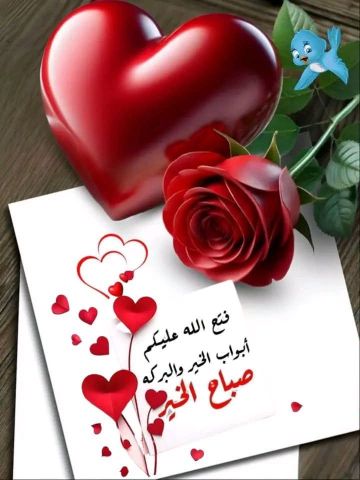 انا بدور عليكي انت فين كلميني لو سمحت الساعده حلوه