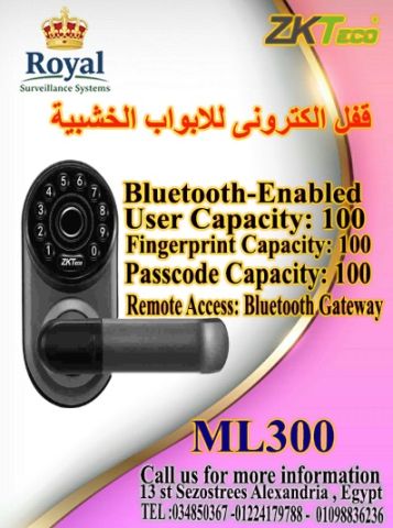 الأقفال الذكية ZKTECO ML300