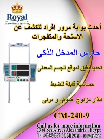 بوابة كشف المعادن المتطورة 