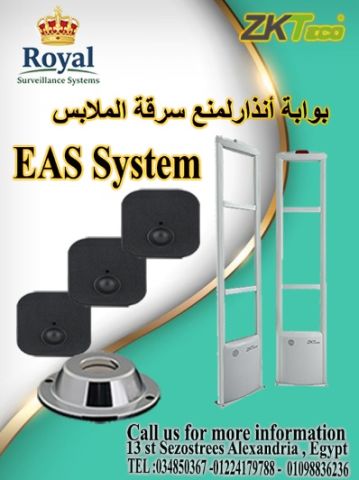 موسم الزحمة يعني أرباح أكتر.. مش خسائر أكتر!