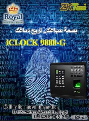 حدّث نظام شركتك لأعلى مستوى من الاحترافية مع رويال! 