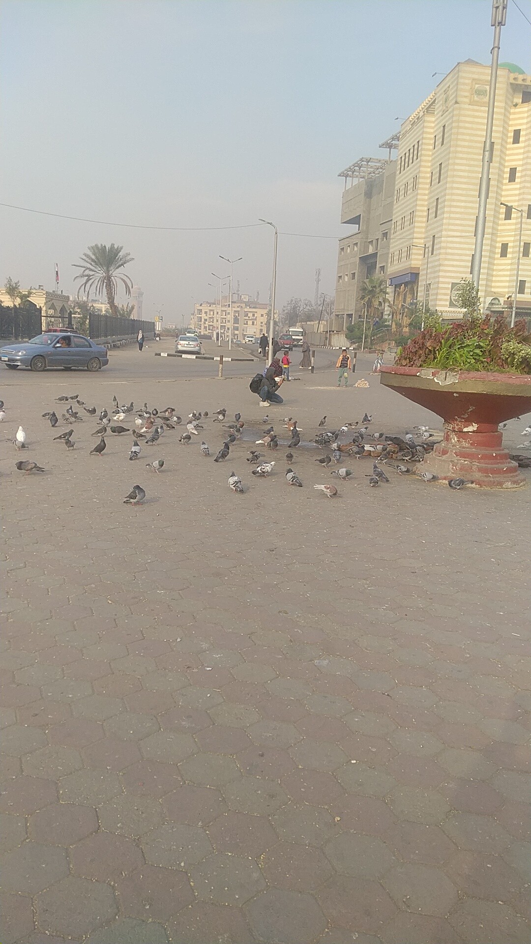 اريد صديقة جادة 