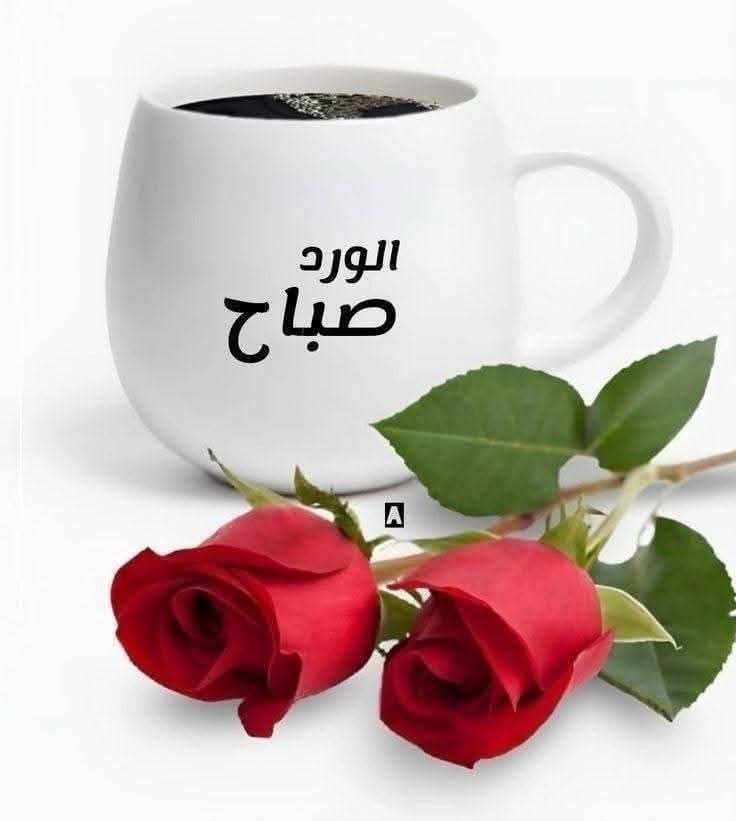 رجل يبحث عن زوجه تريد التعارف والزواج الشرعي 2