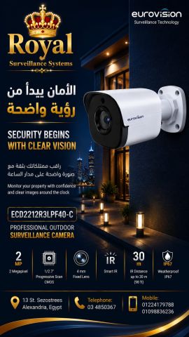 بنقدملك وحش المراقبة الخارجية كاميرا ECD2212R3LPF40-C