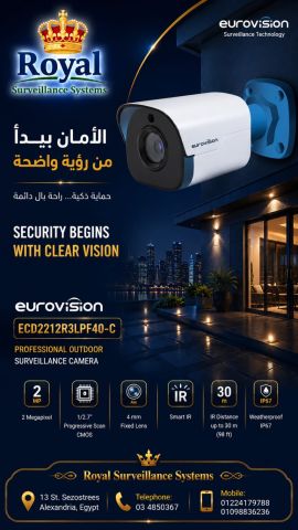 بنقدملك وحش المراقبة الخارجية كاميرا ECD2212R3LPF40-C