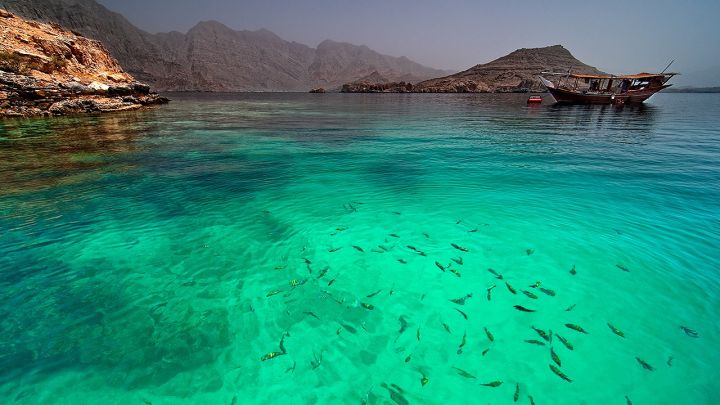 فنادق الاسماعيليه شاليهات  للايجار عقارات الاسماعيليه #للايجار # 4