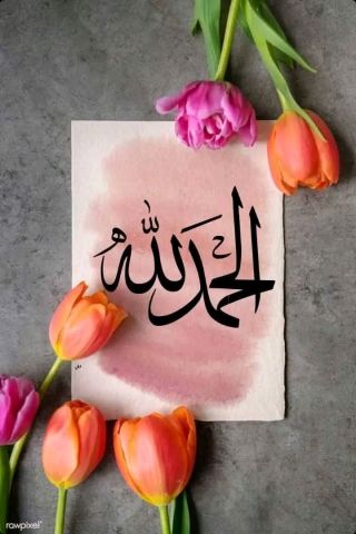 ابحث عن امرأة للزواج العرفي أو التعارف في القاهرة جادة