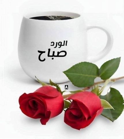 أنا رجل جاد وأرغب في الزواج من امرأة مطلقة أو أرملة
