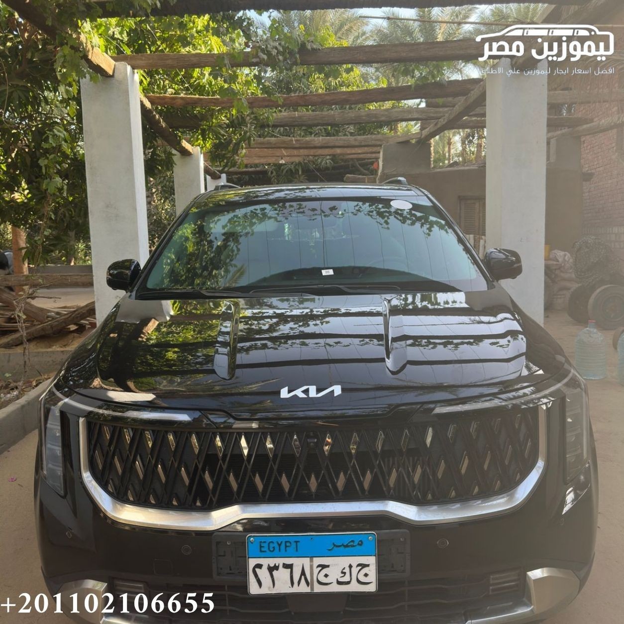 ? Kia Carnival 9-Seater Rental with Chauffeur | Dokki to Nuweiba