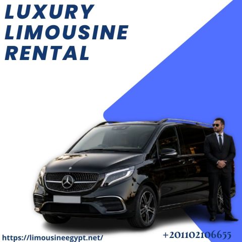 ? Mercedes Viano Rental with Professional Chauffeur | InterConti
