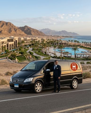 Mercedes Viano Rental with Professional Drive