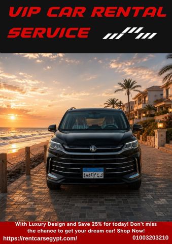 ? MG G50 Rental with Chauffeur: Cairo Airport to Marsa Alam VIP 
