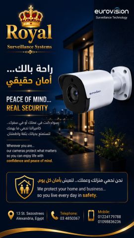الموسم شغال.. وعينك اللي مبتنامش جاهزة للاستثمار! 