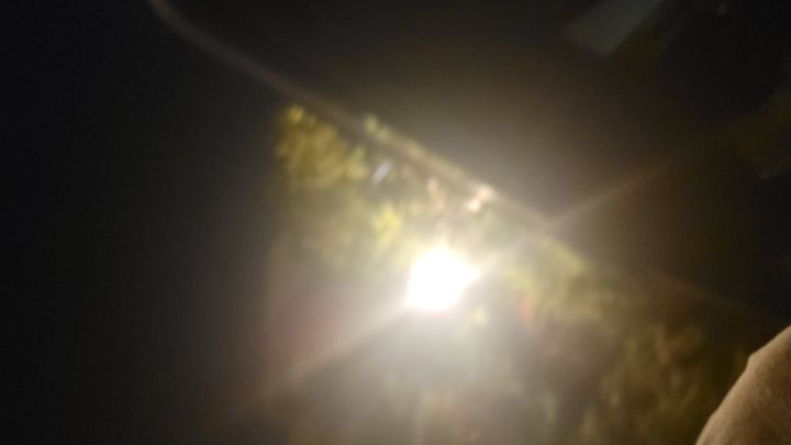 Looking for a pregnant woman