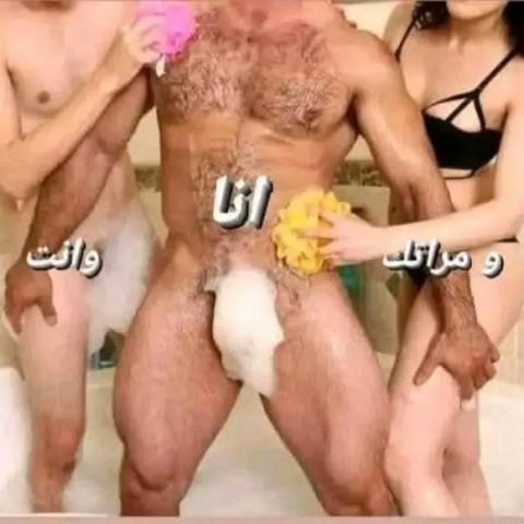 الفحل المصري تعالي في كل سريه