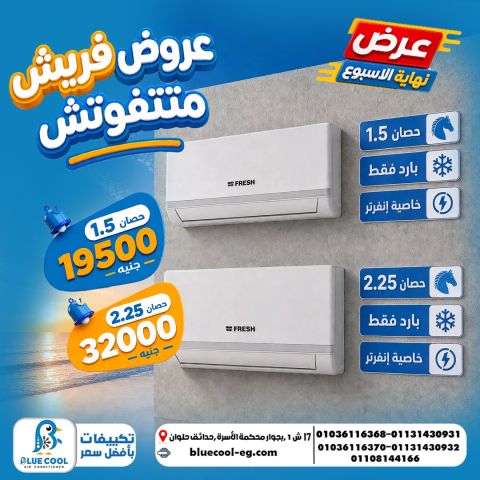 بتدور على فريش حصان ونص؟ ابدأ بفريش تربو