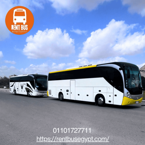 Mercedes 50-Seater Bus Rental for Alexandria Day Use  3