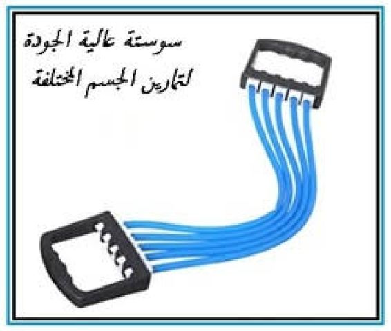 سوستة التمارين الرياضية ? طريقك لتمرين فعال وتقوية العضلات من ال