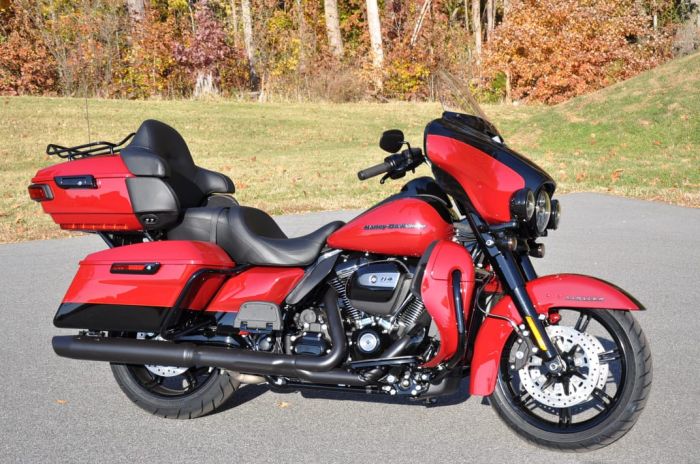 2021 Harley davidson TOURING  ULTRA LIMITED 3