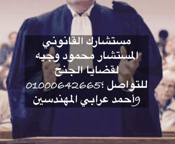محامي قضايا جنح في مصر  1