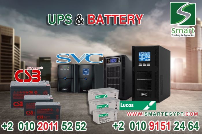 UPS SVC V2000 - 01020115252