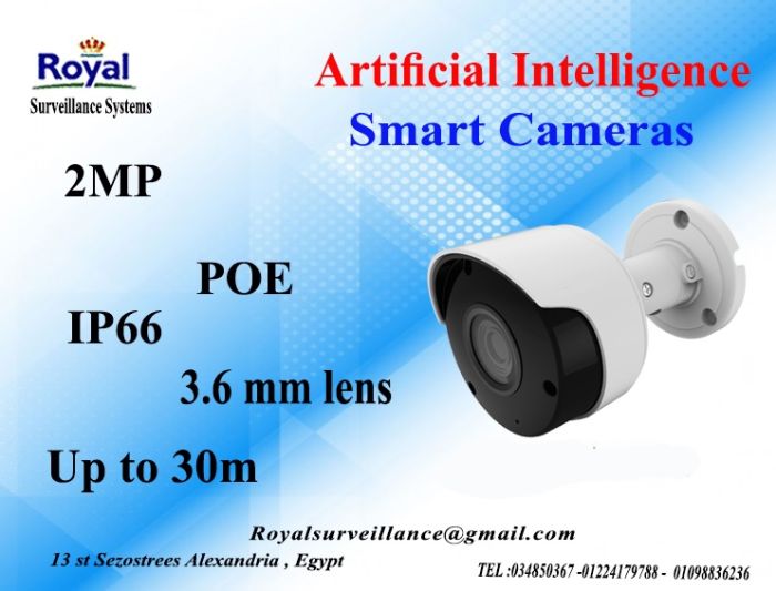 أحدث كاميرات مراقبة الخارجية الذكية2 MP 