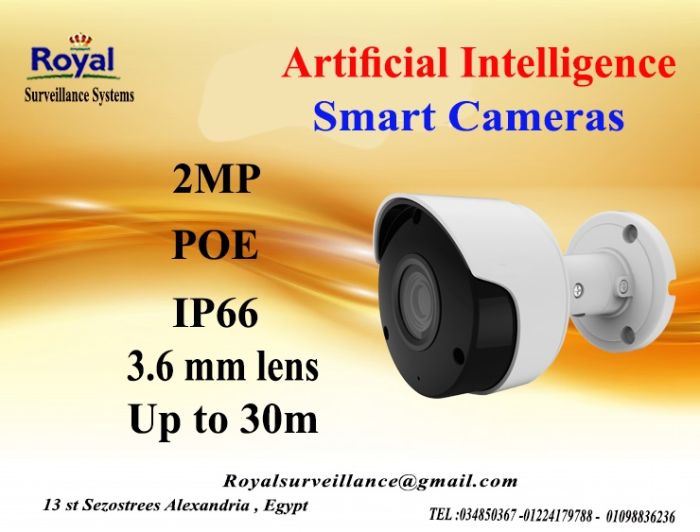 أحدث كاميرات مراقبة الخارجية الذكية2 MP  1