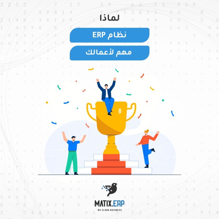 برنامج Matix ERP الاختيار الأنسب | برنامج حسابات شركات |01010367444  