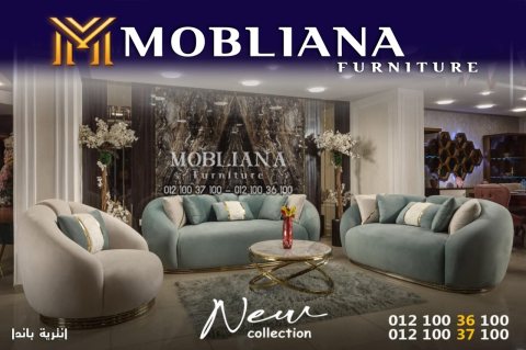 Mobliana furniture  6