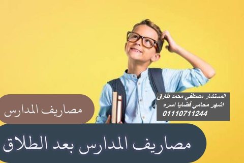 محامى قضايا الاسره فى مصر  1