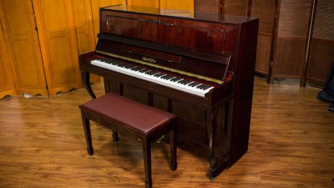 August Hoffman Upright Piano 2