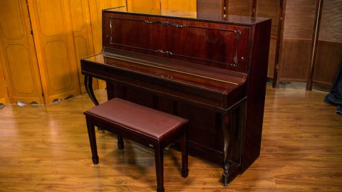 August Hoffman Upright Piano 4