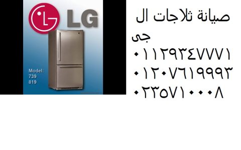 عناوين صيانة غسالات ال جى LG فى العامرية 01210999852