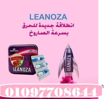 كورس لينوزا الانجليزي – LEANOZA CAPSULES   1