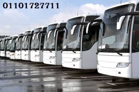 إيجار حافلات سياحية من شركة رينت باص 1