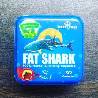 فات شارك للتخسيس FAT SHARK